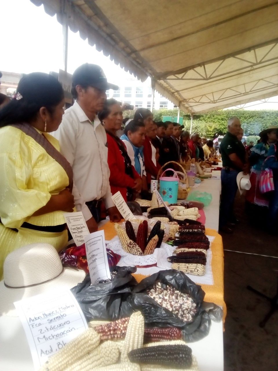 Octava Feria Del Ma Z Productores De Varios Estados Intercambian Semilla Para Mejorarla