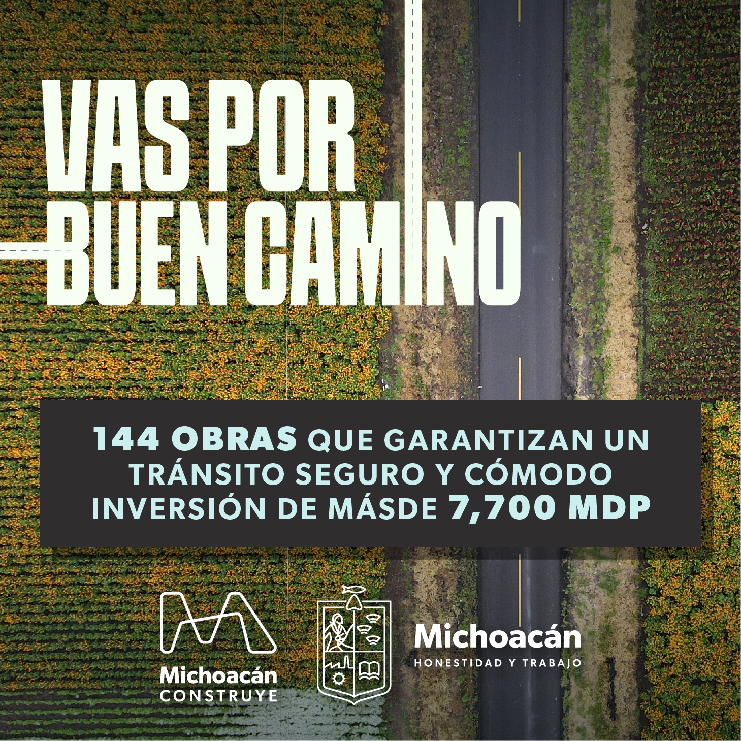 BANNER – VAS POR BUEN CAMINO