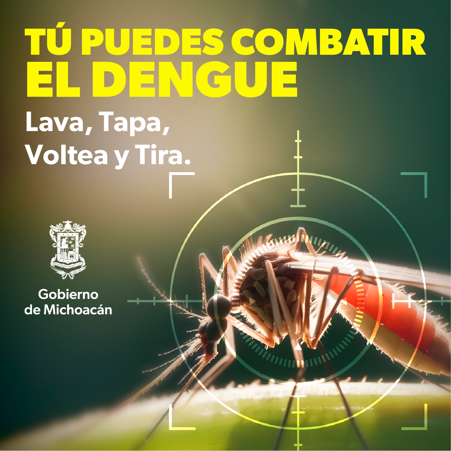 Tú Puedes Combatir El Dengue