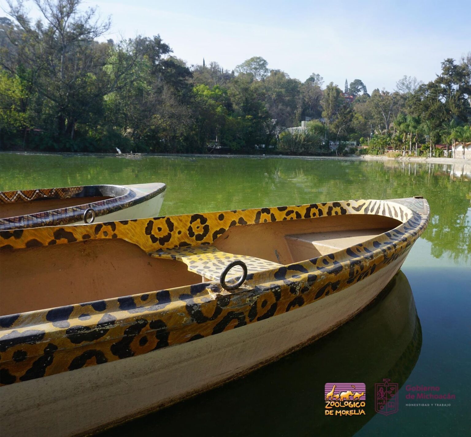 Morelia Zoológico invita a conocer 10 atractivos y vivir una aventura