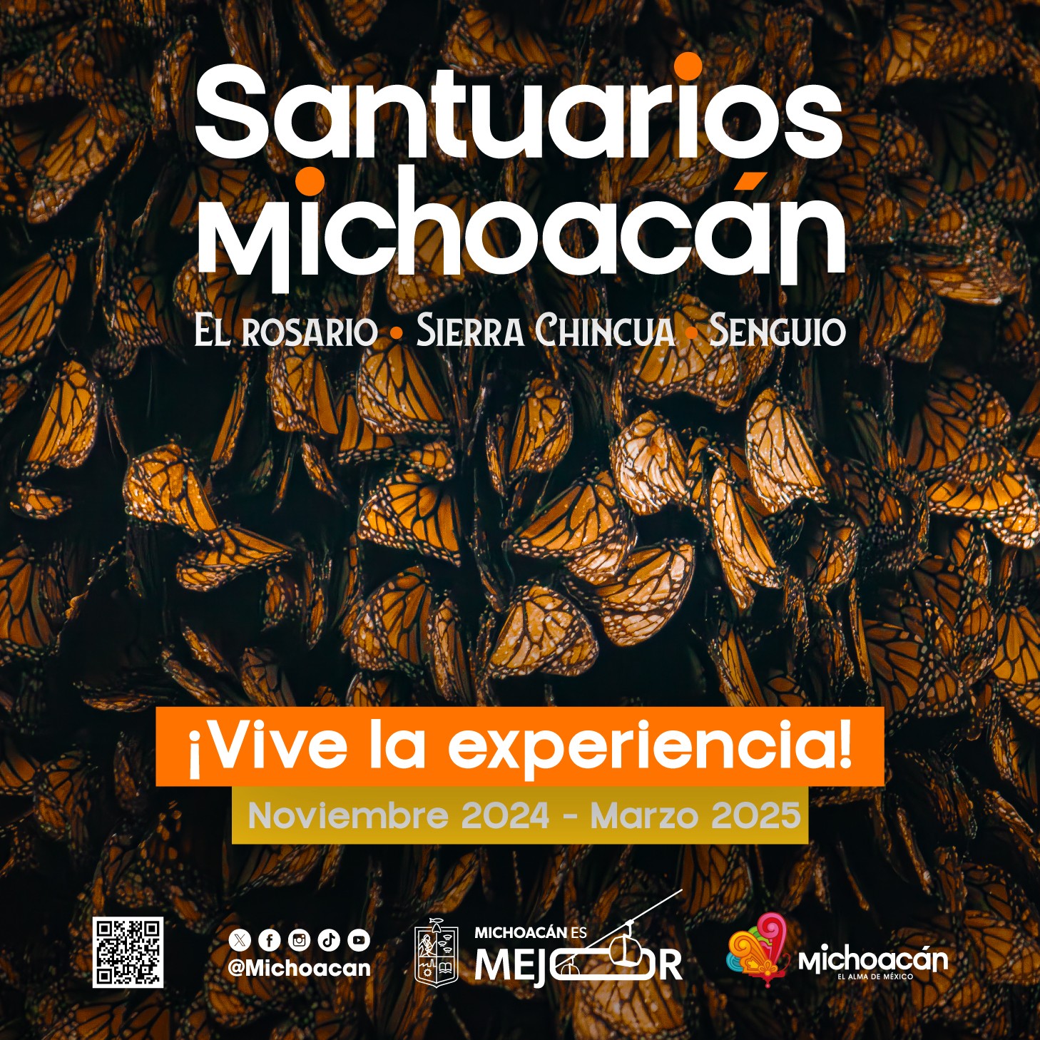 Santuarios Michoacán de la Mariposa Monarca 2024